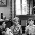 Are Nuclear Families Really Bad?